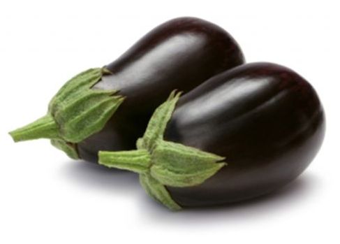 eggplant characteristic