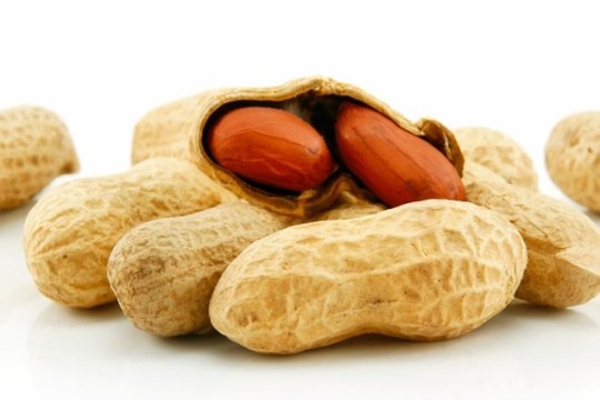 peanut allergy