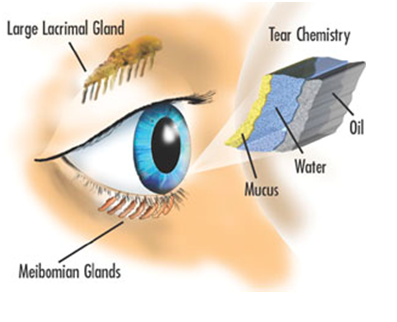 treatments from dry eyes