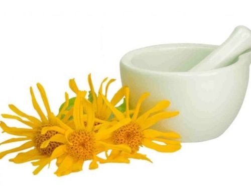 properties of arnica