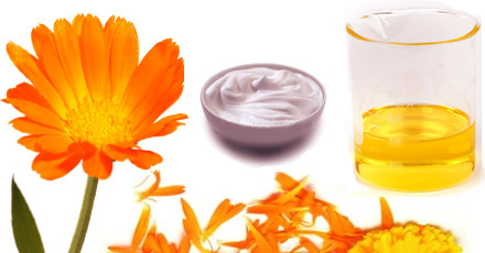 calendula oil