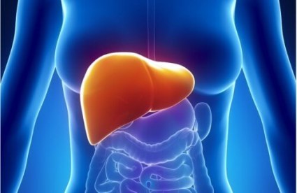 hepatic steatosis