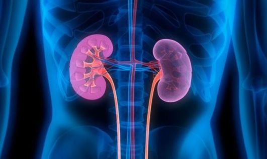 renal blockage