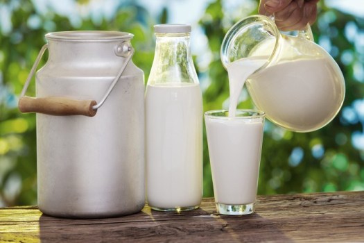truths about milk consumption