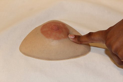 nipple prosthesis