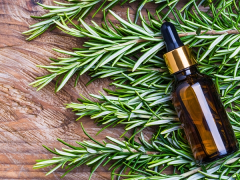 properties of rosemary