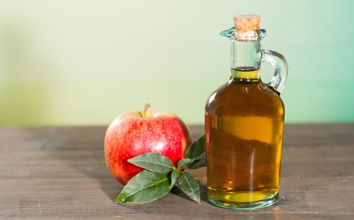 apple cider vinegar